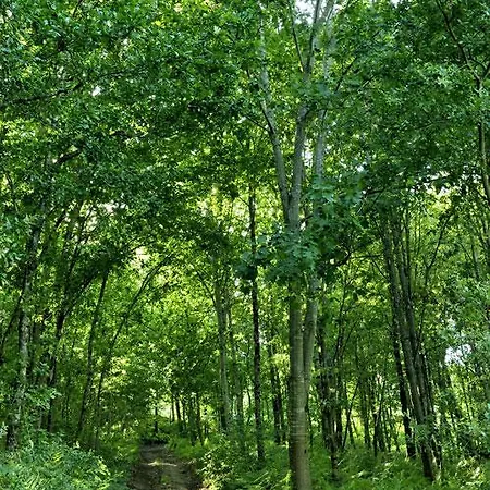 Castelo Do Castro * Carrazedo (Amares)